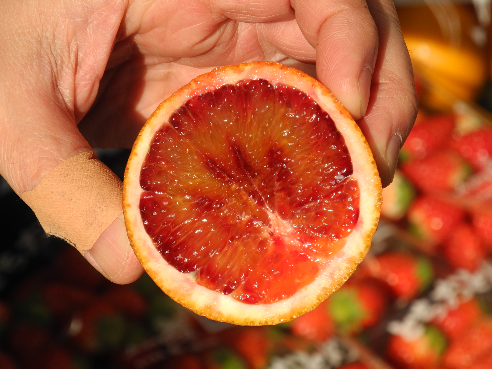 血液検査の数値改善に ブラッドオレンジ を食べてみる カルチべブログ カルチベ 農耕と園藝online