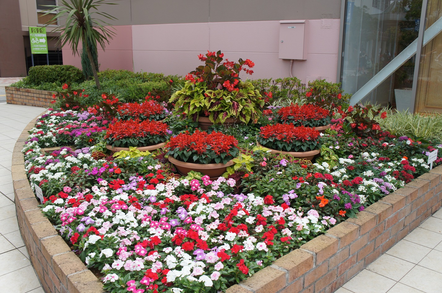 第2回 夏花を活用した優良事例の紹介 東京大会を夏花で彩る カルチベ 農耕と園藝online
