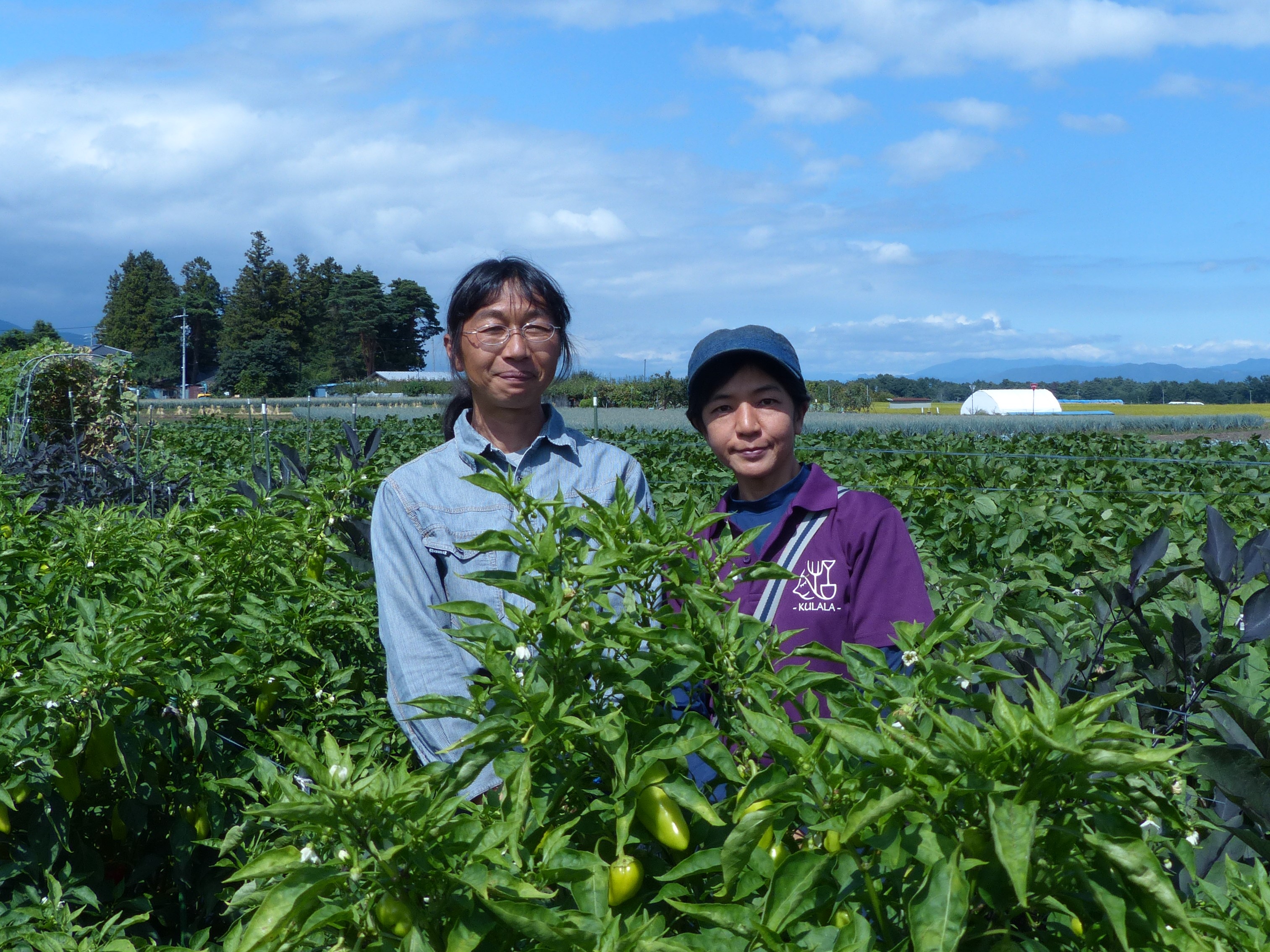 環境モニタリングで水分量をコントロール オリジナルのトマト品種も Happy Village Farm 石綿 薫さん 奈巳さん 前編 カルチべ取材班 現場参上 カルチベ 農耕と園藝online