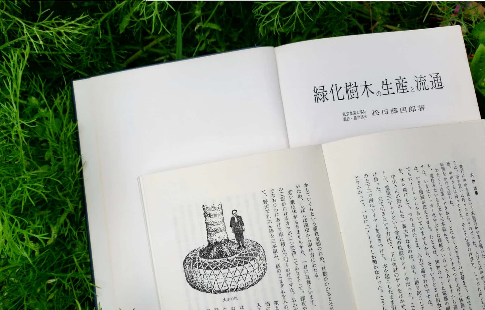 第66回 ２兆円産業を支えた伝統産地の底力 植木のまち 安行の人々 後編 園藝探偵の本棚 カルチベ 農耕と園藝online