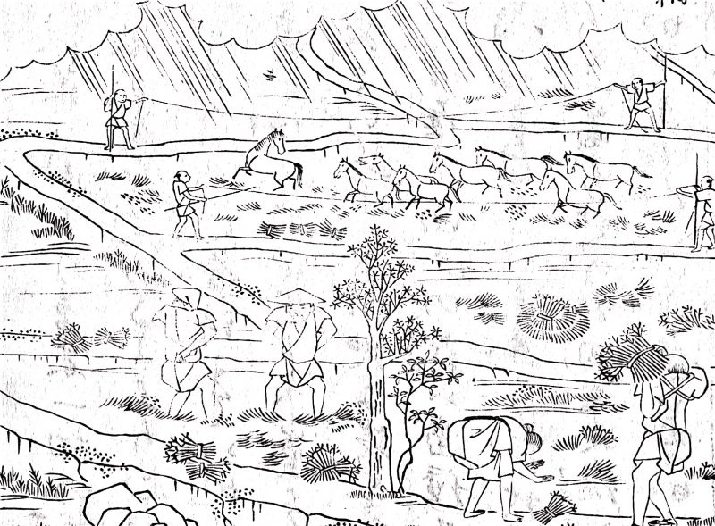 第72回 かっちき 刈敷 とは何か 草を肥料にする農耕の知恵 園藝探偵の本棚 カルチベ 農耕と園藝online