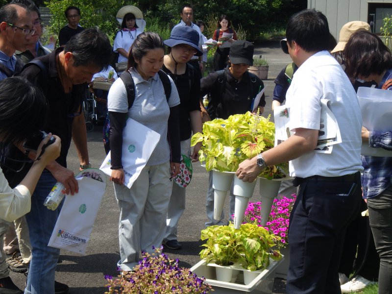 第11回 年夏花の利用予定について 東京大会を夏花で彩る カルチベ 農耕と園藝online