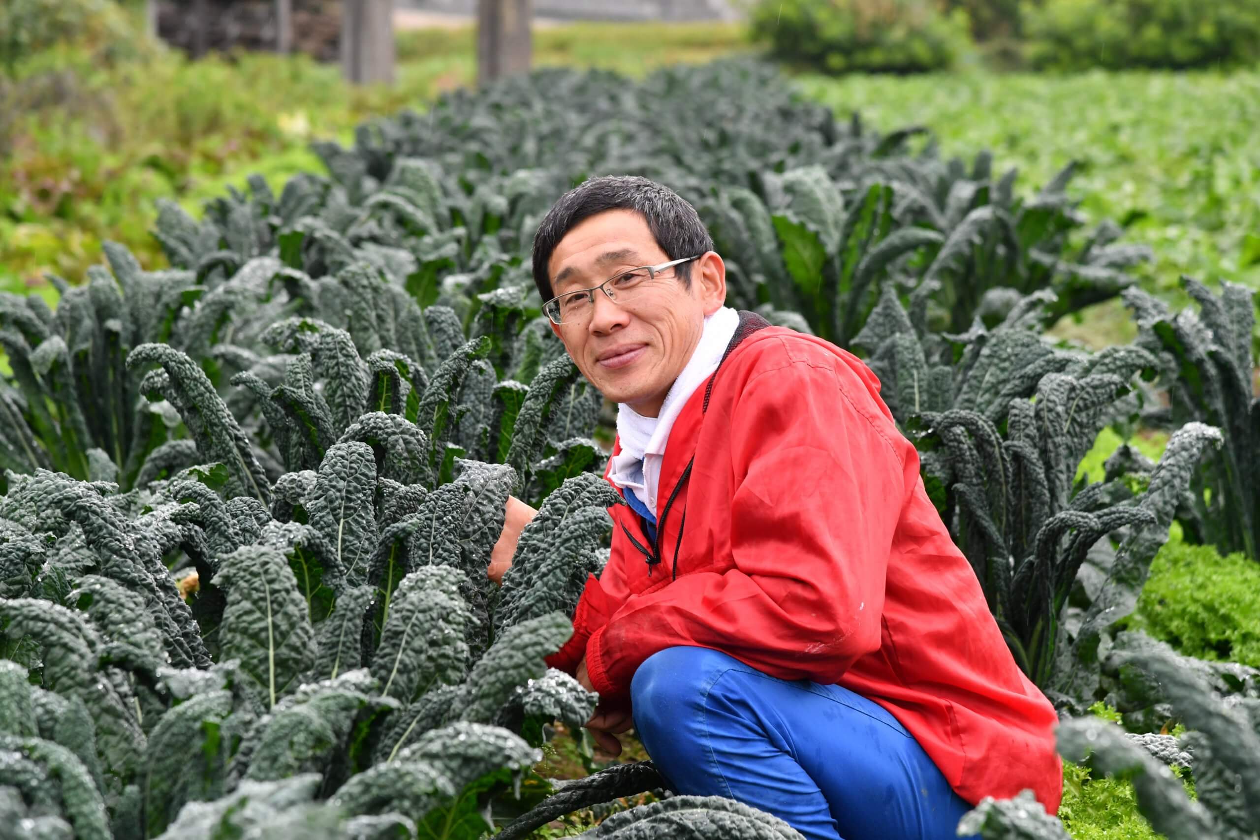 作り続けて年 いわきの西洋野菜名人 カルチべ取材班 現場参上 カルチベ 農耕と園藝online