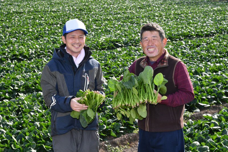 連作障害や暑さに負けず 強い産地であり続る 太田市藪塚ホウレンソウ カルチべ取材班 現場参上 カルチベ 農耕と園藝online