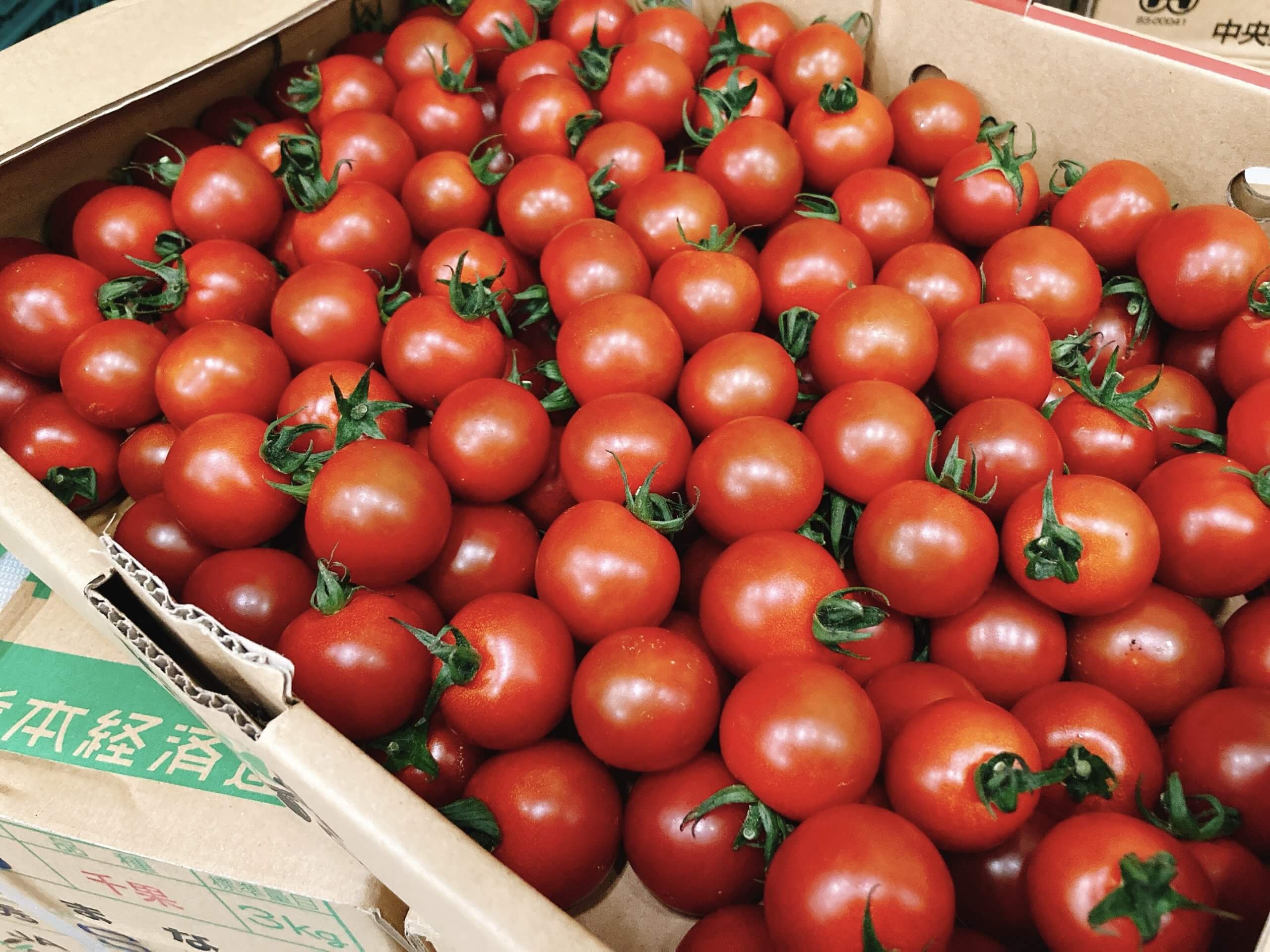 野菜 ミニトマト カルチべ市場動向 カルチベ 農耕と園藝online