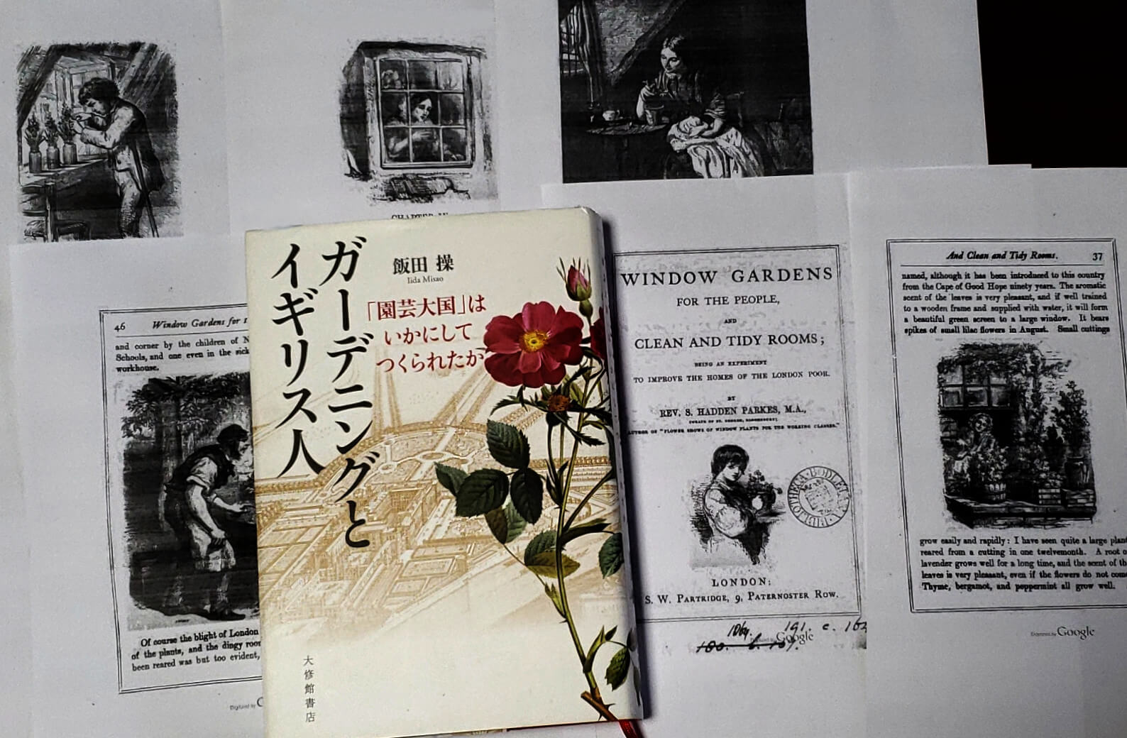 驚きの値段 値下 入手困難 歴史 イギリス 薔薇 洋書 ROSES ENGLISH 